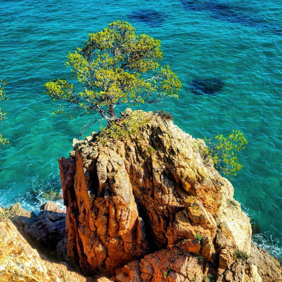 Rosamar Daire Santa Cristina d'Aro Dış mekan fotoğraf