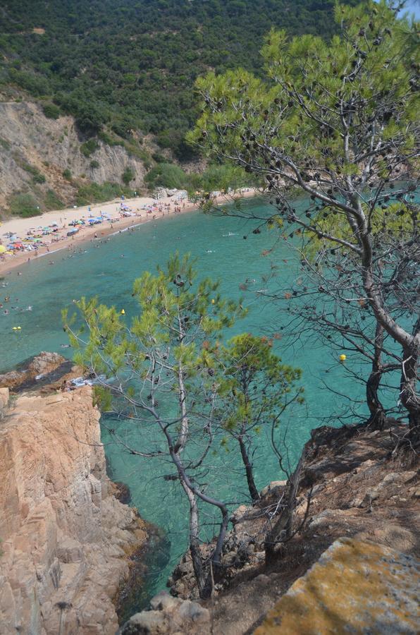 Rosamar Daire Santa Cristina d'Aro Dış mekan fotoğraf