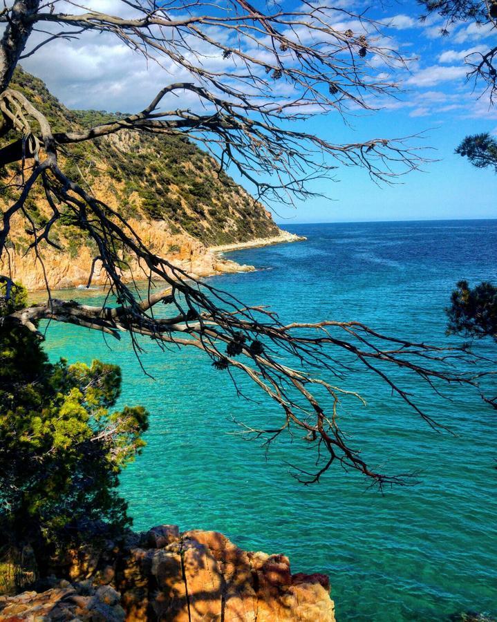 Rosamar Daire Santa Cristina d'Aro Dış mekan fotoğraf